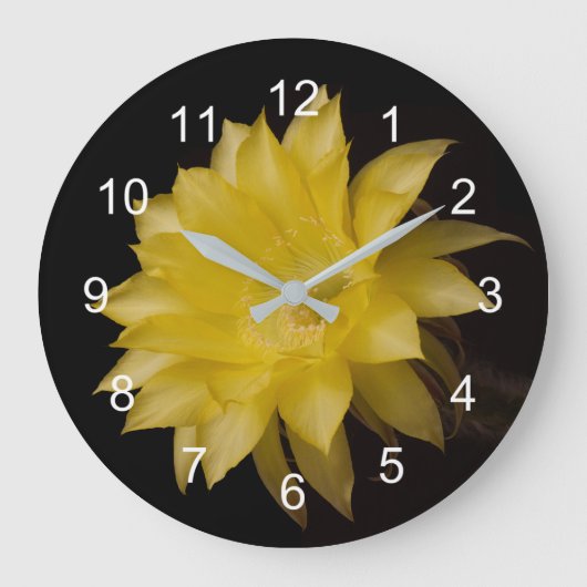 Lemon Pie cactus flower delight Grote Klok (Voorkant)