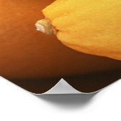 Lemon Poster (Hoek)