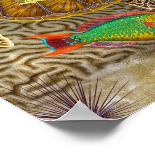 Lemon Shark over koraalrif Poster (Hoek)