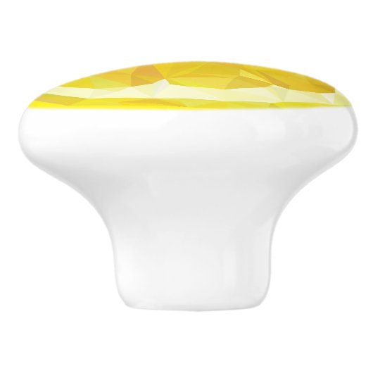 Lemon Slice Geometric Design Fruit Keramische Knop (Zijkant)