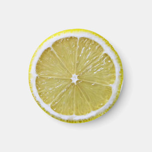 Lemon slice novelty kitchen fridge magnet