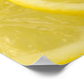 Lemon Slices Poster (Hoek)