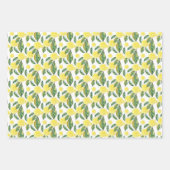 Lemon Slices Waterverf Art Inpakpapier Vel (Voorkant 2)