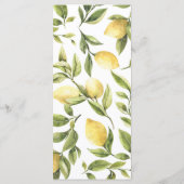 Lemon Sorrento Mediterraan Vrijgezellenfeest Menu (Achterkant)