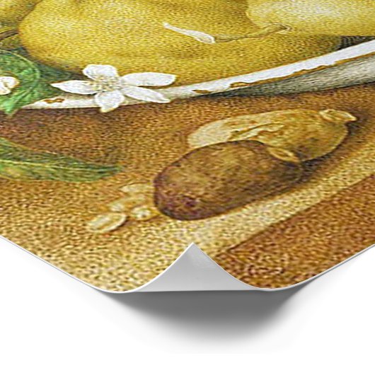  Lemon-stilleven Poster (Hoek)