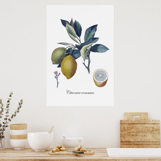 LEMON-studie botanische vintage poster (Keuken)