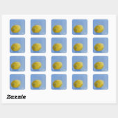 Lemon Study Vierkante Sticker (Vel)