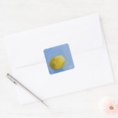 Lemon Study Vierkante Sticker (Envelop)