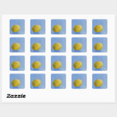 Lemon Study Vierkante Sticker (Vel)