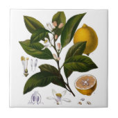 Lemon Tegeltje (Voorkant)