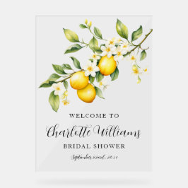 Lemon Theme Vrijgezellenfeest Welkom Acryl Bord