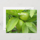 Lemon Tree Briefkaart (Voorkant / Achterkant)