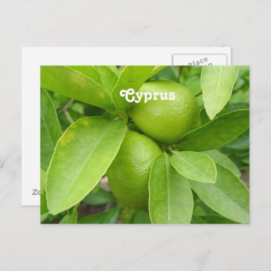 Lemon Tree Briefkaart (Voorkant / Achterkant)