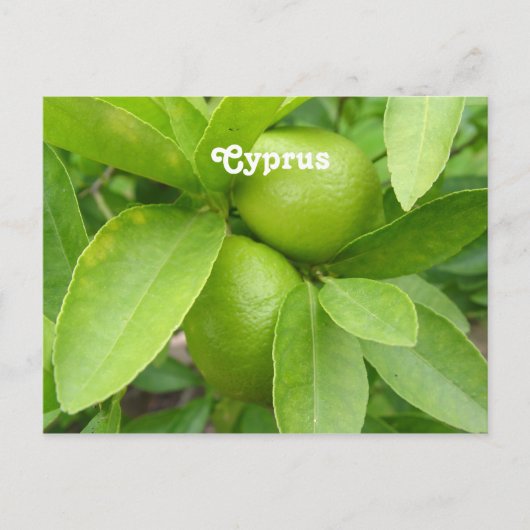 Lemon Tree Briefkaart (Voorkant)