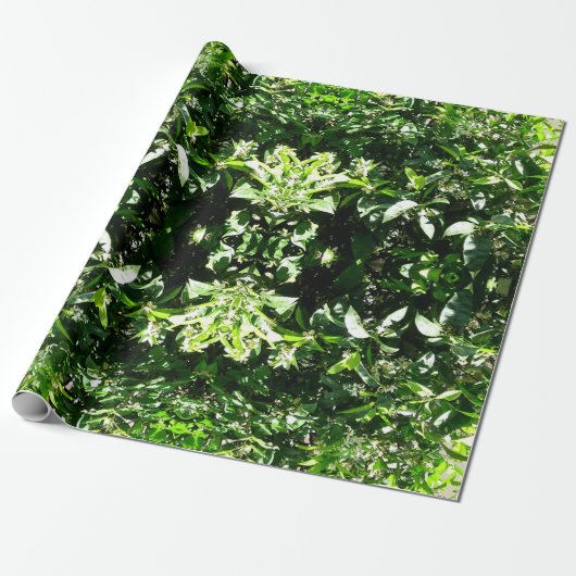 Lemon Tree Cadeaupapier (Uitgerold)
