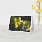 Lemon Tree Close Kaart (Gele Bloem)