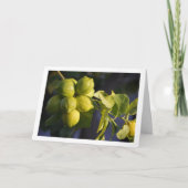 Lemon Tree Close Kaart (Voorkant)