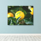 Lemon Tree Fruit Photography Canvas Afdruk (Insitu (Houten vloer))