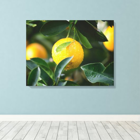 Lemon Tree Fruit Photography Canvas Afdruk (Insitu (Houten vloer))