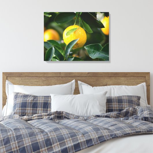 Lemon Tree Fruit Photography Canvas Afdruk (Insitu (Slaapkamer))