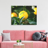 Lemon Tree Fruit Photography Canvas Afdruk (Insitu (Woonkamer))