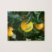 Lemon Tree Fruit Photography Legpuzzel (Horizontaal)