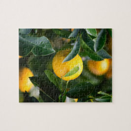 Lemon Tree Fruit Photography Legpuzzel