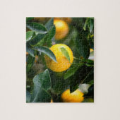 Lemon Tree Fruit Photography Legpuzzel (Verticaal)