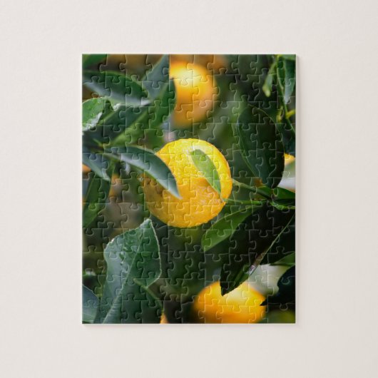 Lemon Tree Fruit Photography Legpuzzel (Verticaal)