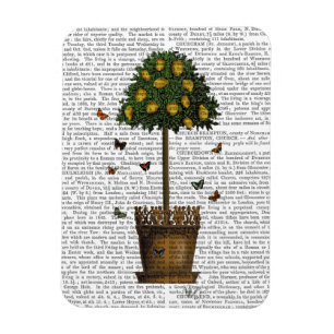 Lemon Tree Magneet