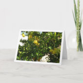 Lemon Tree Portrait Kaart (Voorkant)