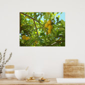 LEMON TREE POSTER (Keuken)