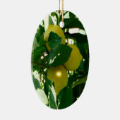 Lemon Tree Yellow Green Ornament (Rechts)