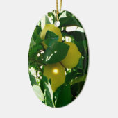 Lemon Tree Yellow Green Ornament (Links)