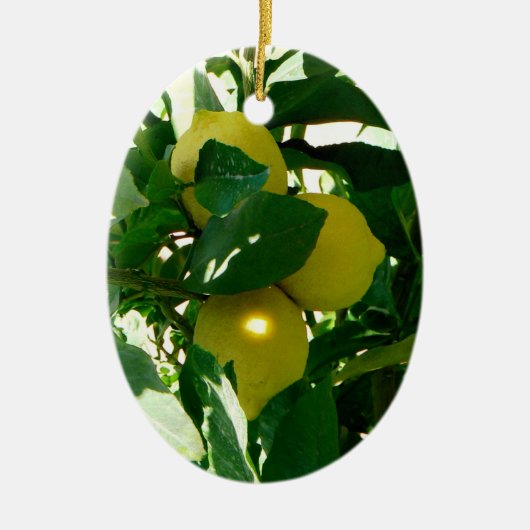Lemon Tree Yellow Green Ornament (Voorkant)
