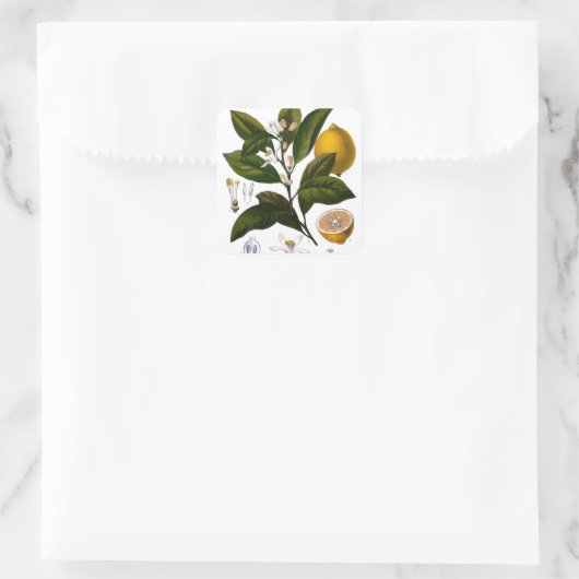 Lemon Vierkante Sticker (Tas)