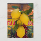 Lemon vine in Positano in Italië Briefkaart (Voorkant)