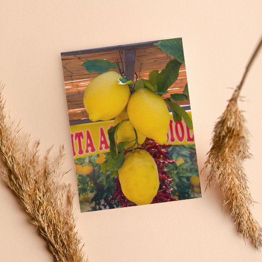 Lemon vine in Positano in Italië Briefkaart