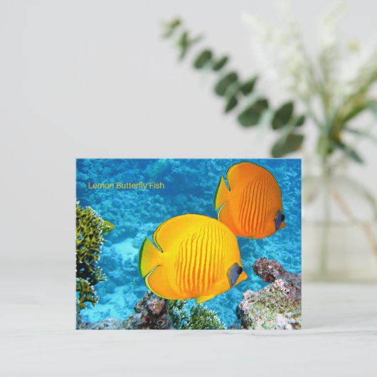Lemon Vlinder Vis Briefkaart (Staand voorkant)