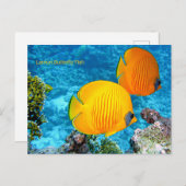 Lemon Vlinder Vis Briefkaart (Voorkant / Achterkant)