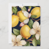 Lemon Vrijgezellenfeest Ze vond haar hoofdplein Kaart (Achterkant)