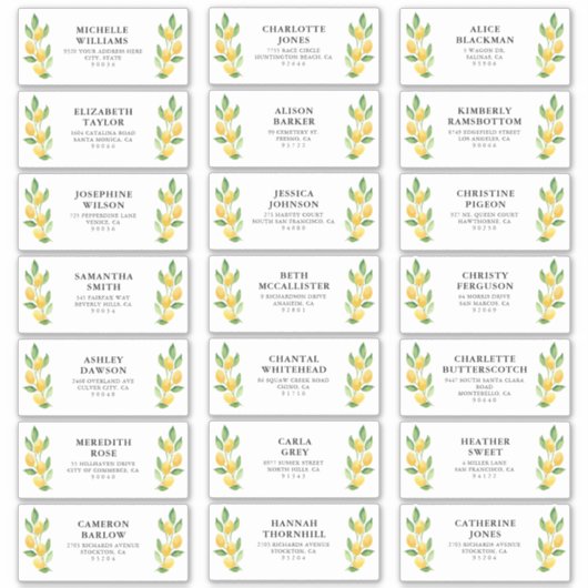 Lemon Waterverf Gast Adresetiketten Sticker (Voorkant)