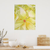 Lemon Yellow Frangipani Poster (Keuken)