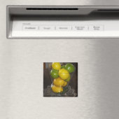 Lemonen en grenswaarden magneet (Insitu (Vaatwasser))