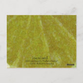 LemonLem... Briefkaart (Achterkant)