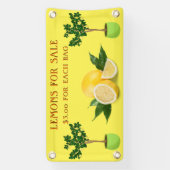 Lemons aanpassen voor verkoopstandaard voor fruit spandoek (Verticaal)