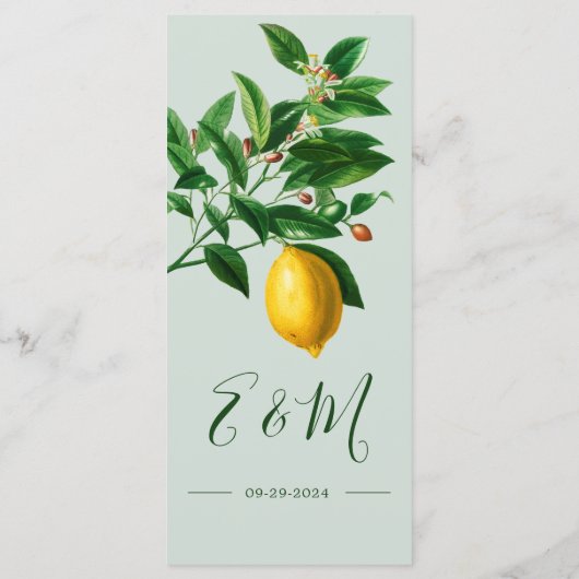 Lemons Botanical Green Summer Monogram Menu (Achterkant)