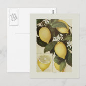 Lemons Briefkaart (Voorkant / Achterkant)