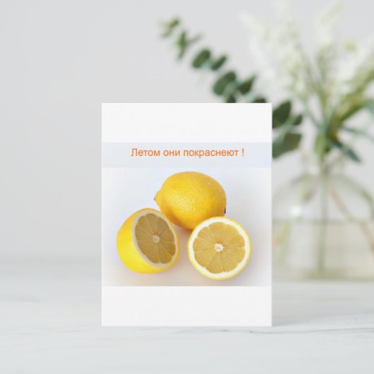Lemons Briefkaart (Staand voorkant)
