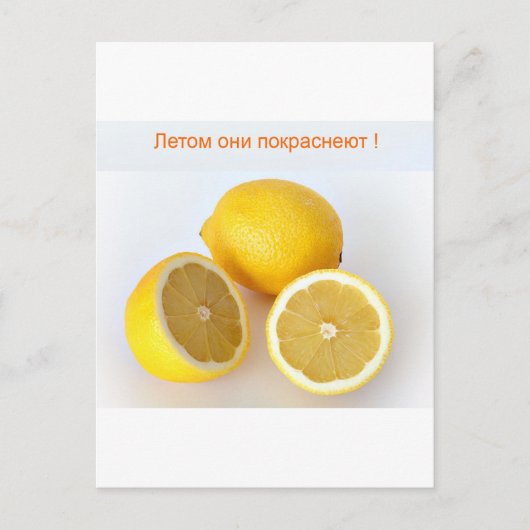 Lemons Briefkaart (Voorkant)